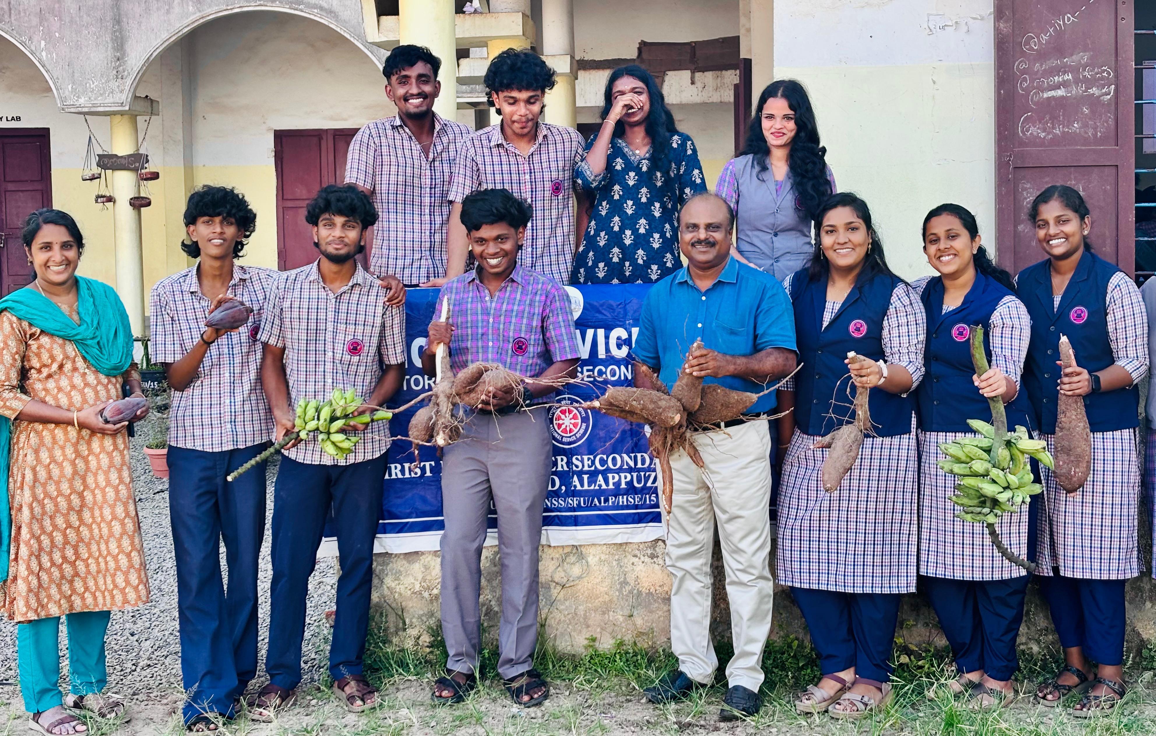 കപ്പ , വാഴ കൃഷി വിളവെടുപ്പ് നടത്തി 